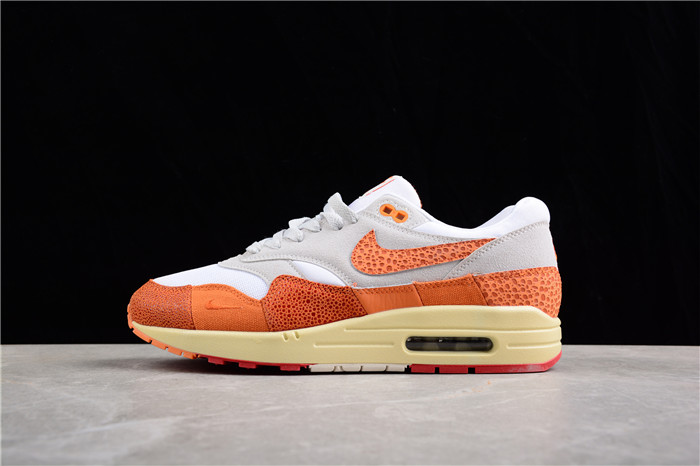 Women's Running Weapon Air Max 1 Shoes DZ4709 001 030