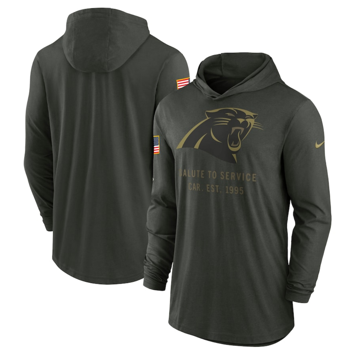 Men's Carolina Panthers Forest Green 2025 Salute to Service Sideline Dri-FIT Lightweight Pullover Hoodie