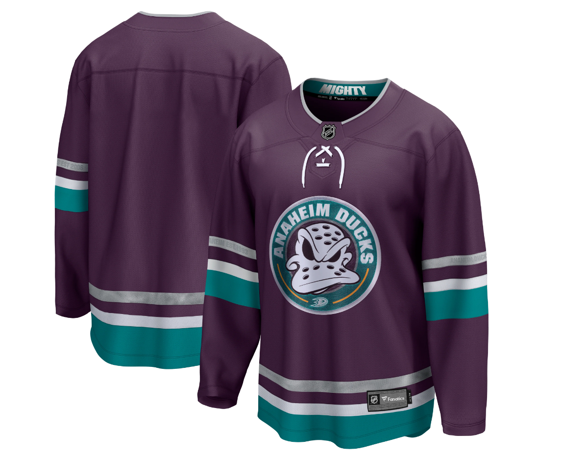 Men's Anaheim Ducks Blank Purple 30th Anniversary Replica Stitched Jersey